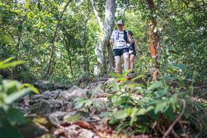 BIB: 
                            <button type="button" onclick="openModal(27699766)" class="btn btn-primary btn-sm float-right btn-popup" data-toggle="modal" data-target=".modal-high-quality">
                        <i class="fas fa-shopping-cart"></i> Add to Cart
                    </button>
                                            <button type="button" onclick="isThisMe(27699766, true)" class="btn btn-success btn-sm float-right btn-popup btn-isme hidden" data-toggle="tooltip" data-placement="bottom" title="นี่คือรูปของคุณใช่ไหม คลิกที่นี่เพื่อเอาเข้าอัลบั้ม">
                        <i class="fas fa-plus"></i> Add to album
                    </button>
                    <button type="button" onclick="isThisMe(27699766, false)" class="btn btn-warning btn-sm float-right btn-popup btn-isnotme hidden">
                        <i class="fas fa-ban"></i> Remove from album
                    </button>